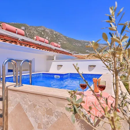 Διαμέρισμα Olive View Penthouse *